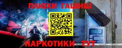индика Бийск