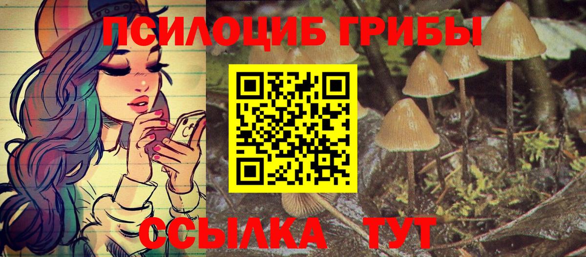 Псилоцибиновые грибы Magic Shrooms Гусиноозёрск